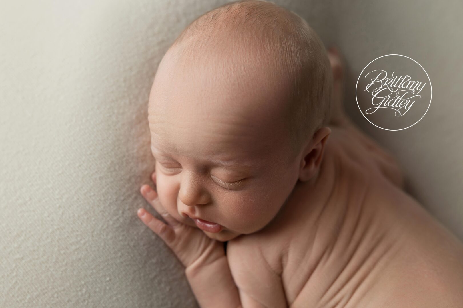 Newborn Photo Shoot | Willowick Newborn Photographer