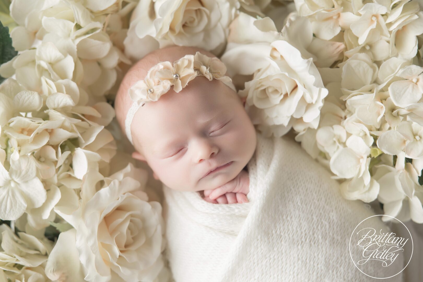 Newborn Baby Girl Photo Shoot In Flowers