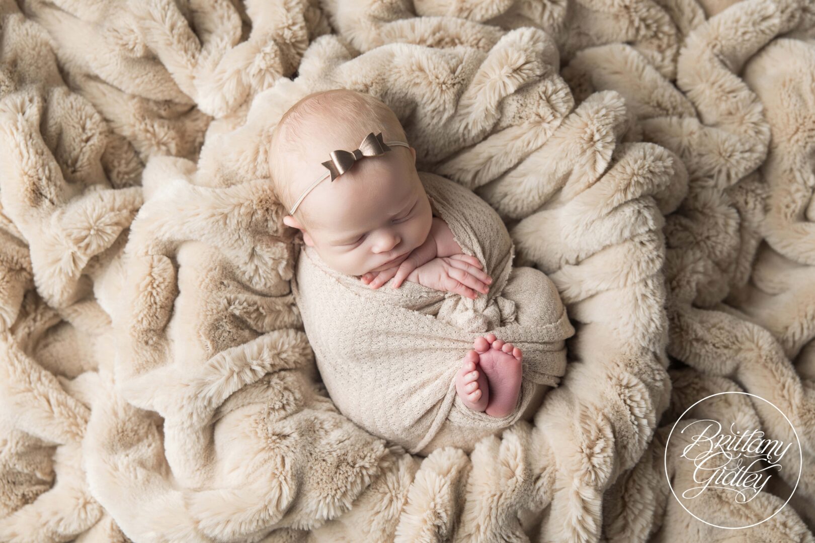 Photography Studio | Bratenahl Newborn Photography