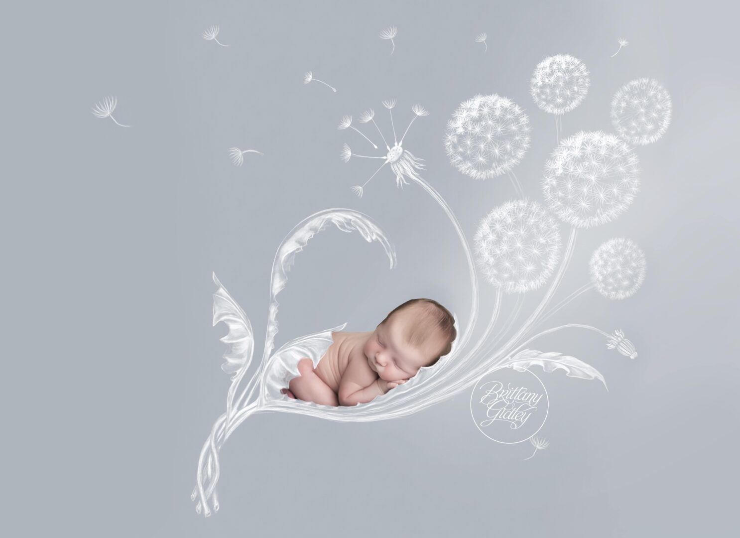 Cleveland Ohio Best Newborn Photographer