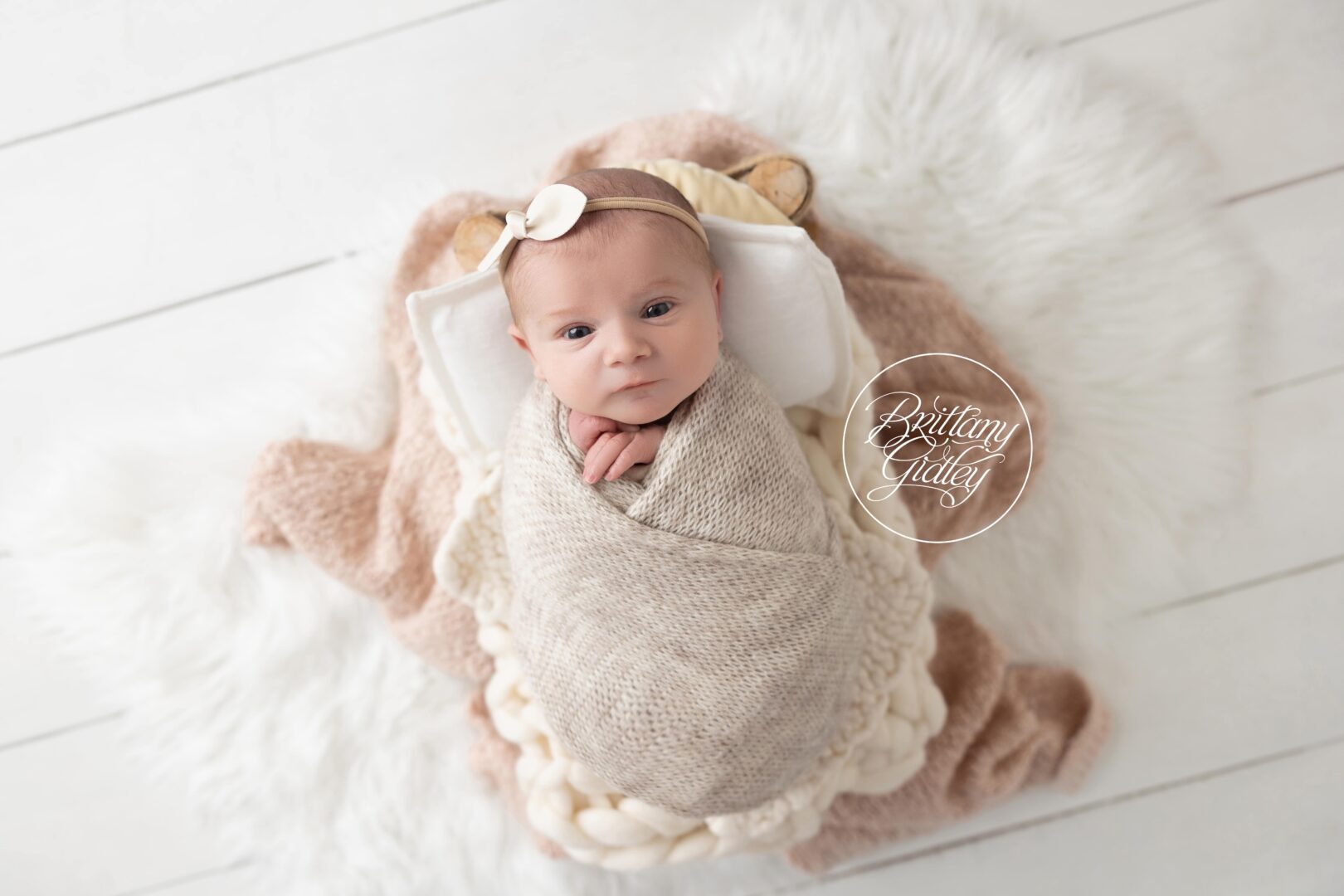 Newborn Baby Girl Photo Shoot in Cleveland Ohio