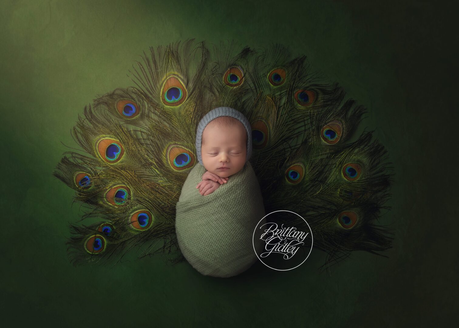 Newborn Baby Peacock