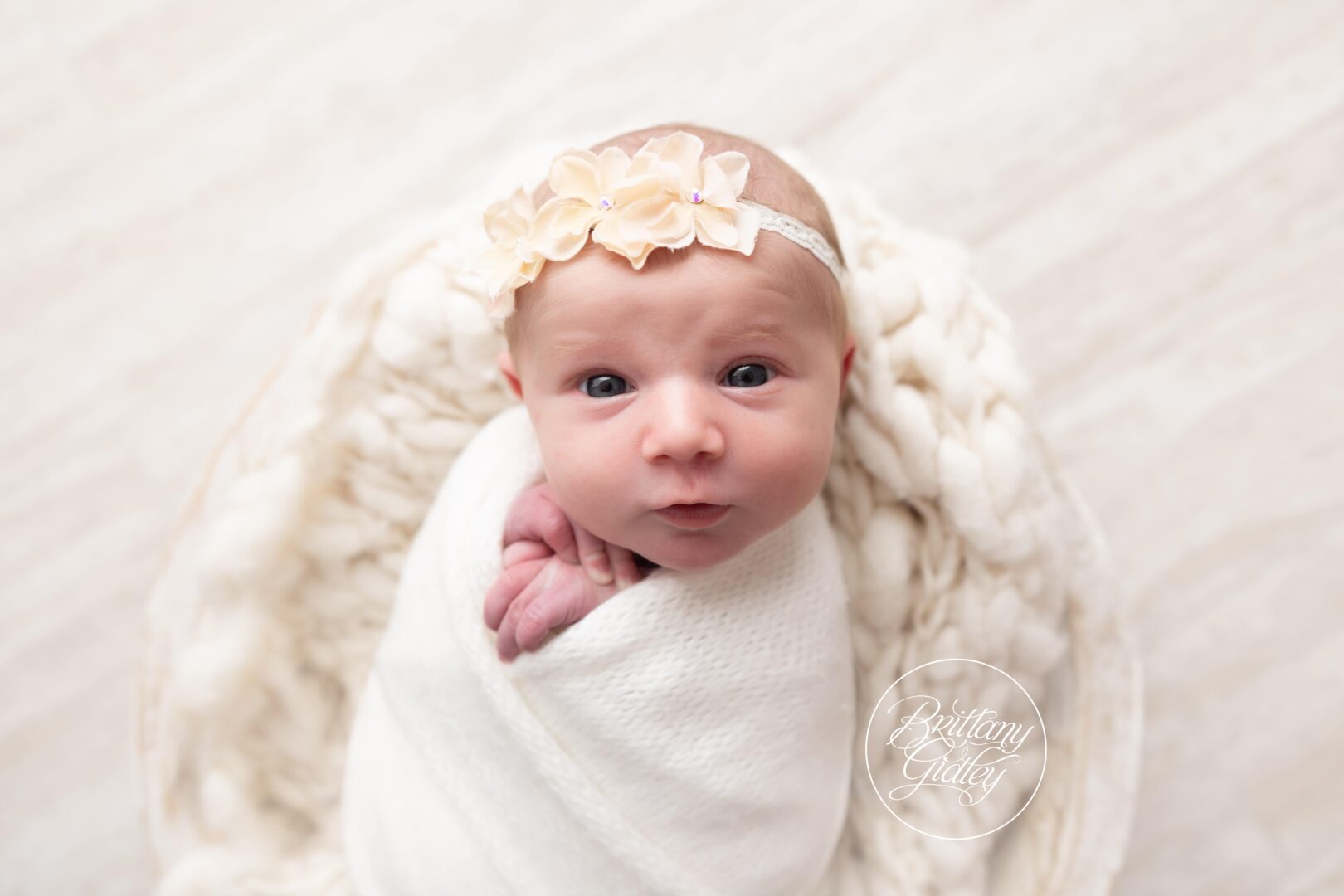 Newborn Photography Studio in Cleveland Ohio