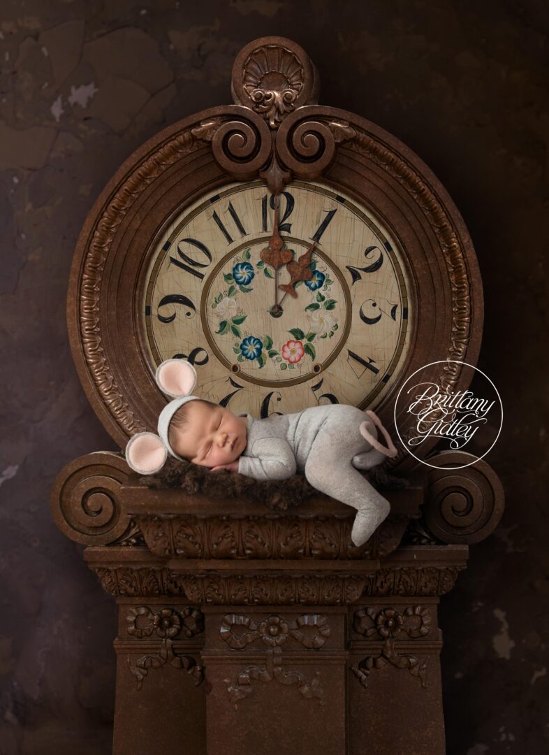 Hickory Dickory Dock | Newborn Photographer