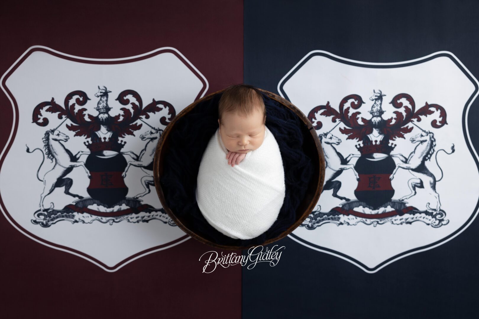 Newborn Baby Coat of Arms
