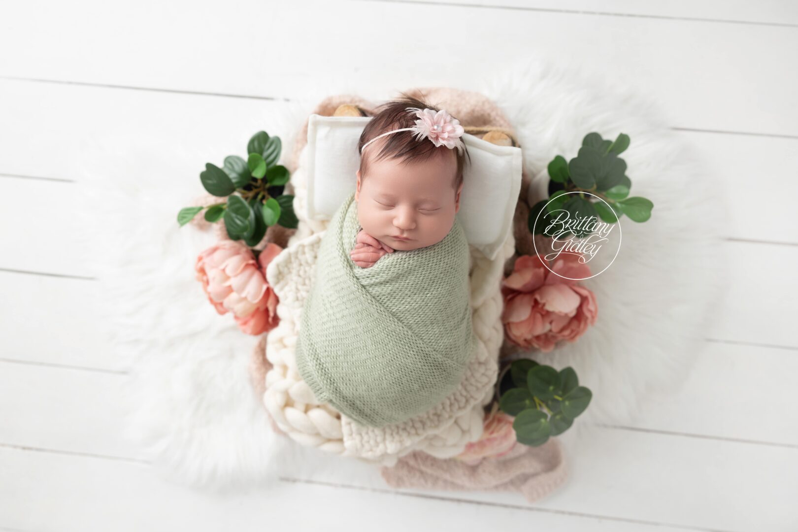Newborn and Baby Photo Shoot Studio
