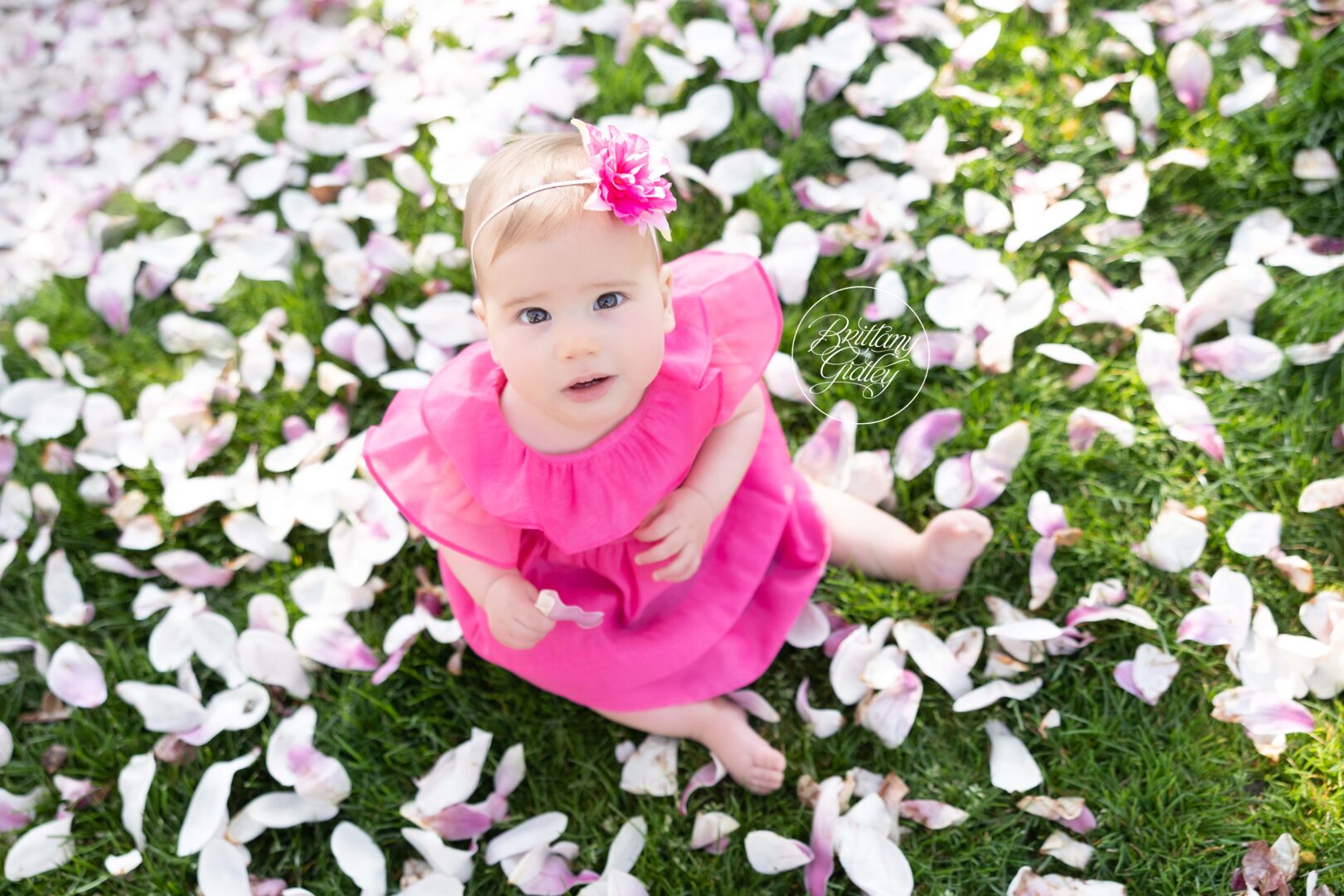Best Baby Photographer | Cleveland Cherry Blossom Photographer