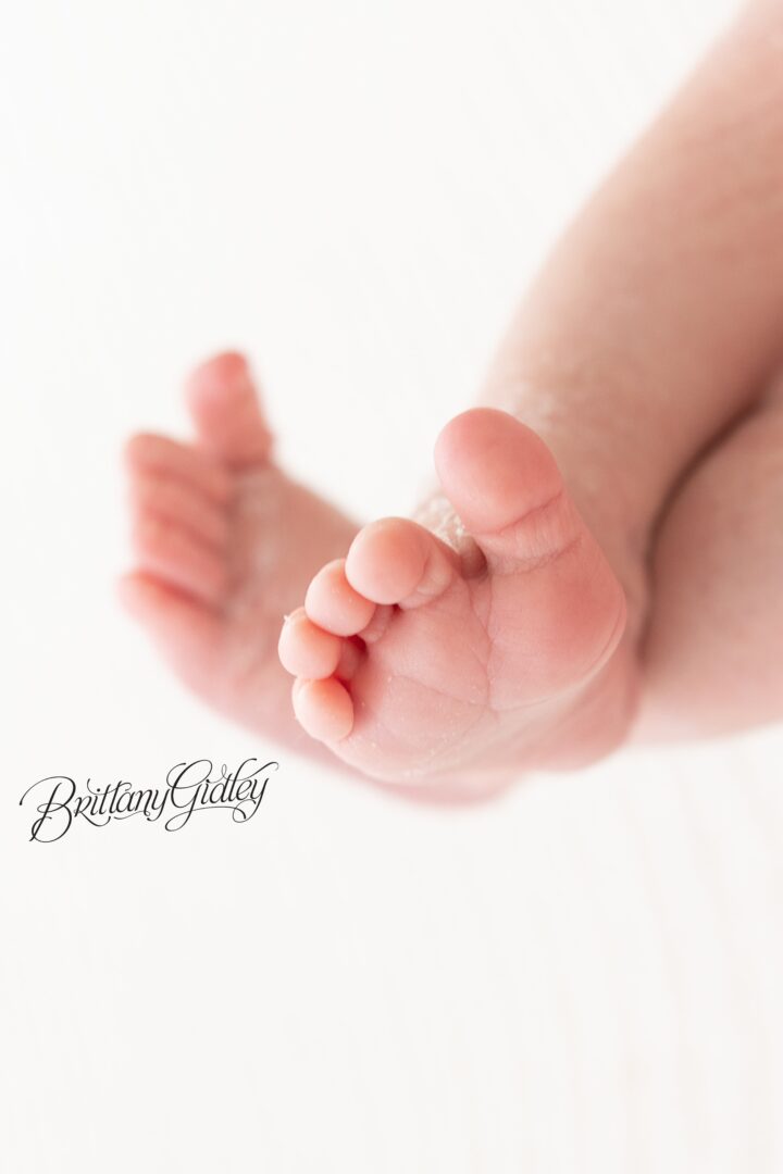 Newborn Baby Feet