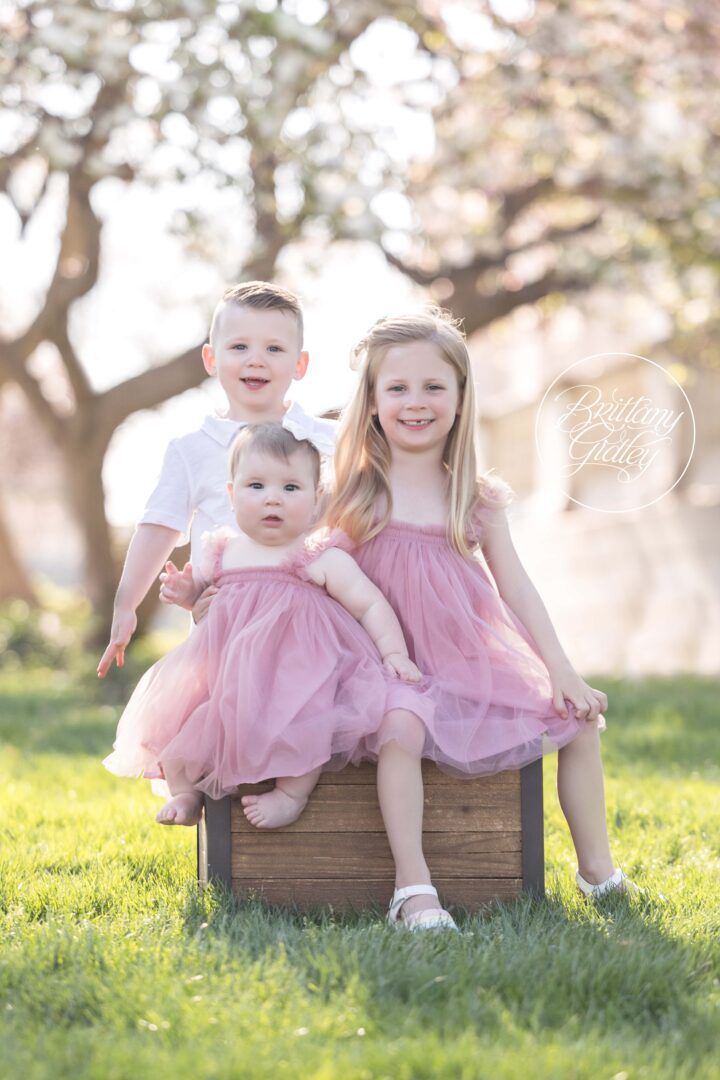 Wade Oval Sibling Photo Shoot | Cherry Blossom