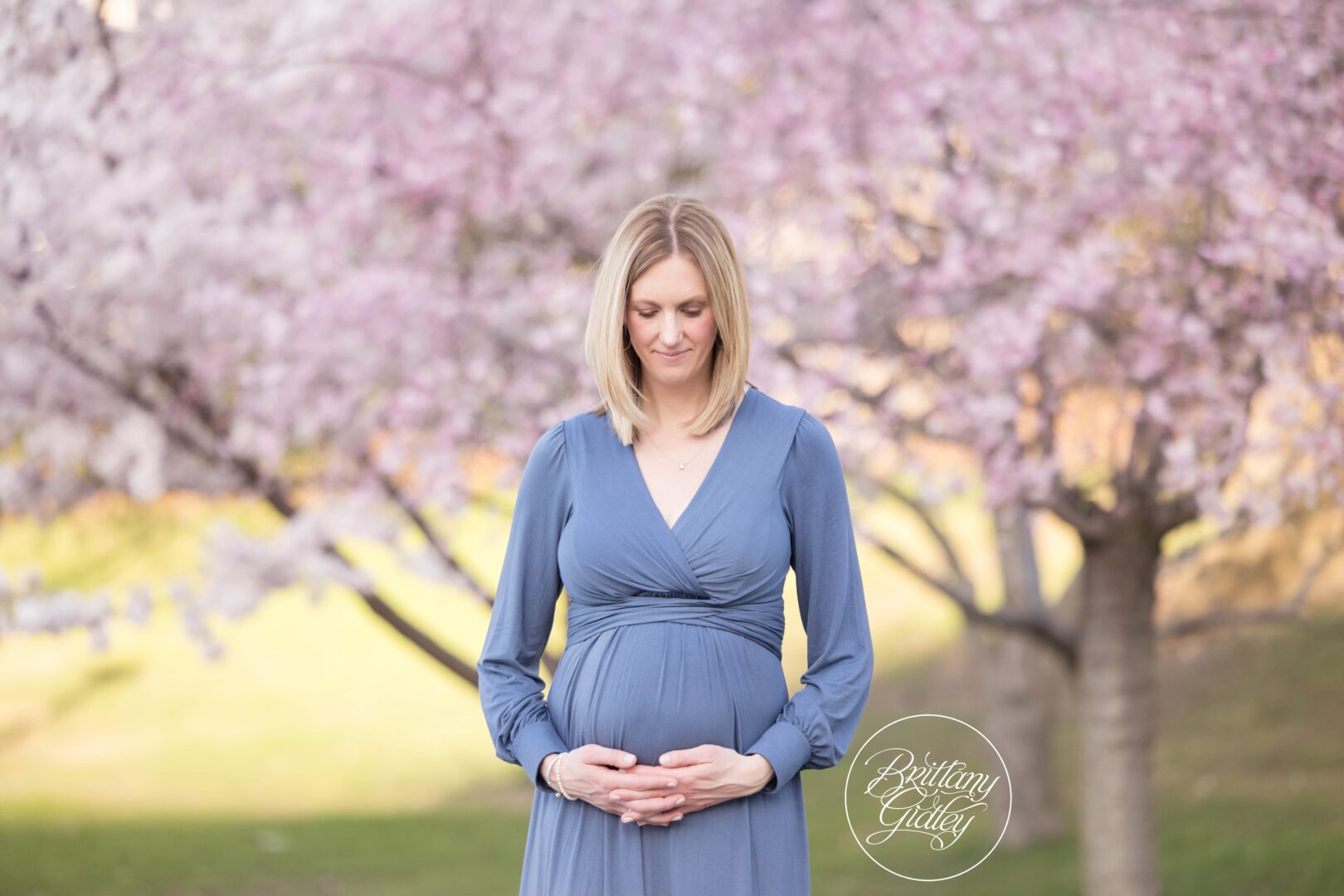 Cherry Blossoms Pregnancy Cleveland Ohio