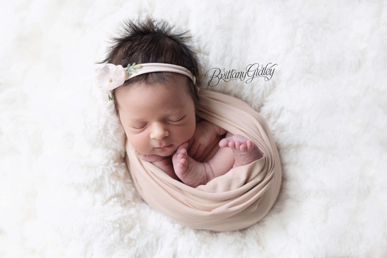 Cleveland Ohio Newborn Baby Photo Shoot