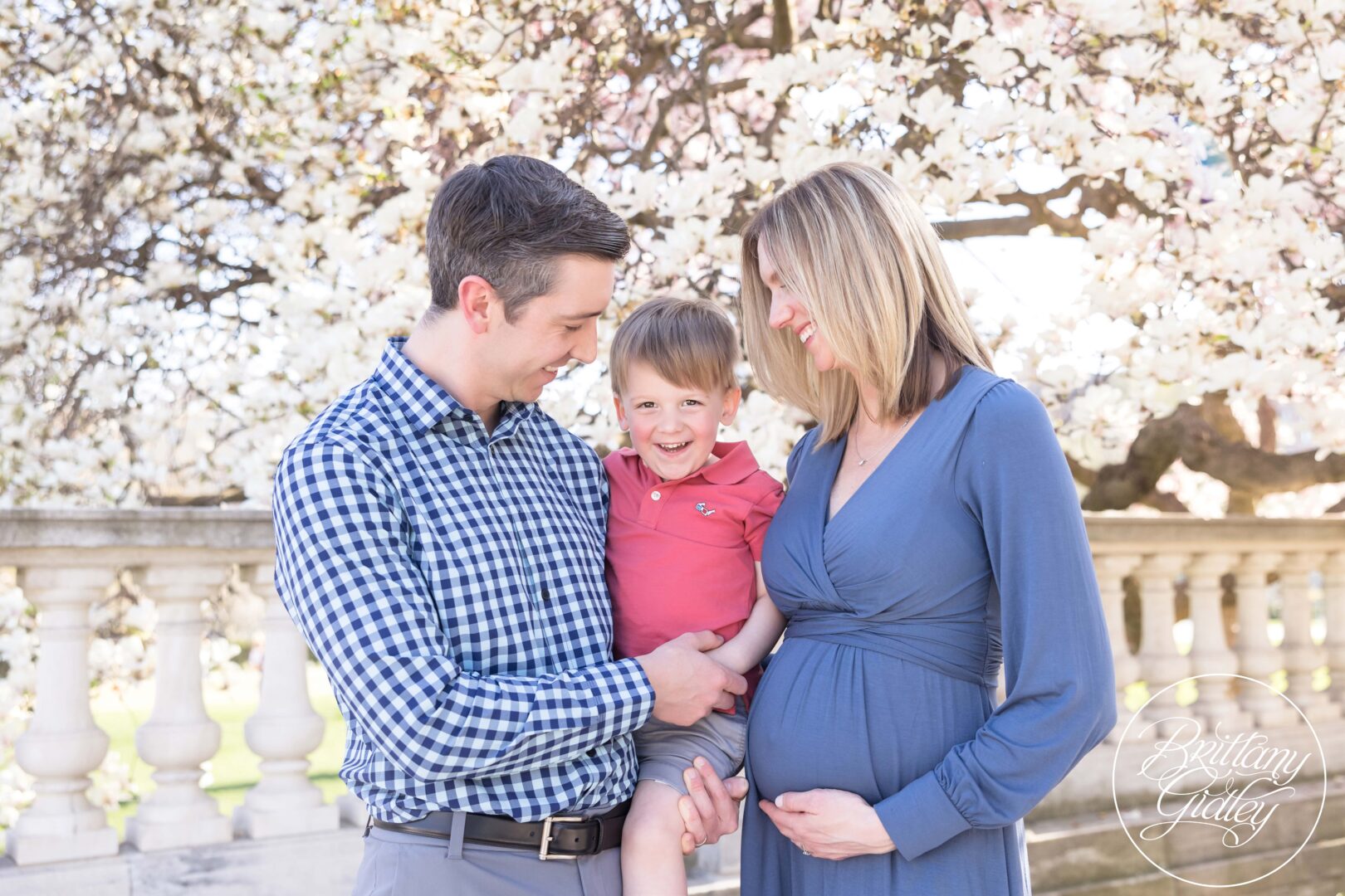 Cherry Blossom Maternity Photography