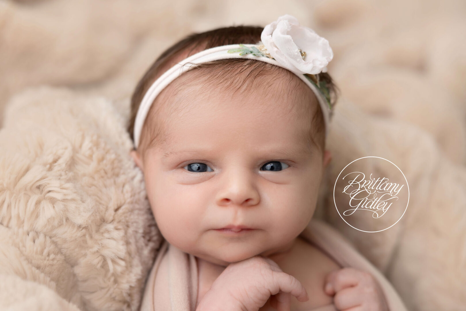 Photography Studio in Cleveland Ohio for Newborns and Families