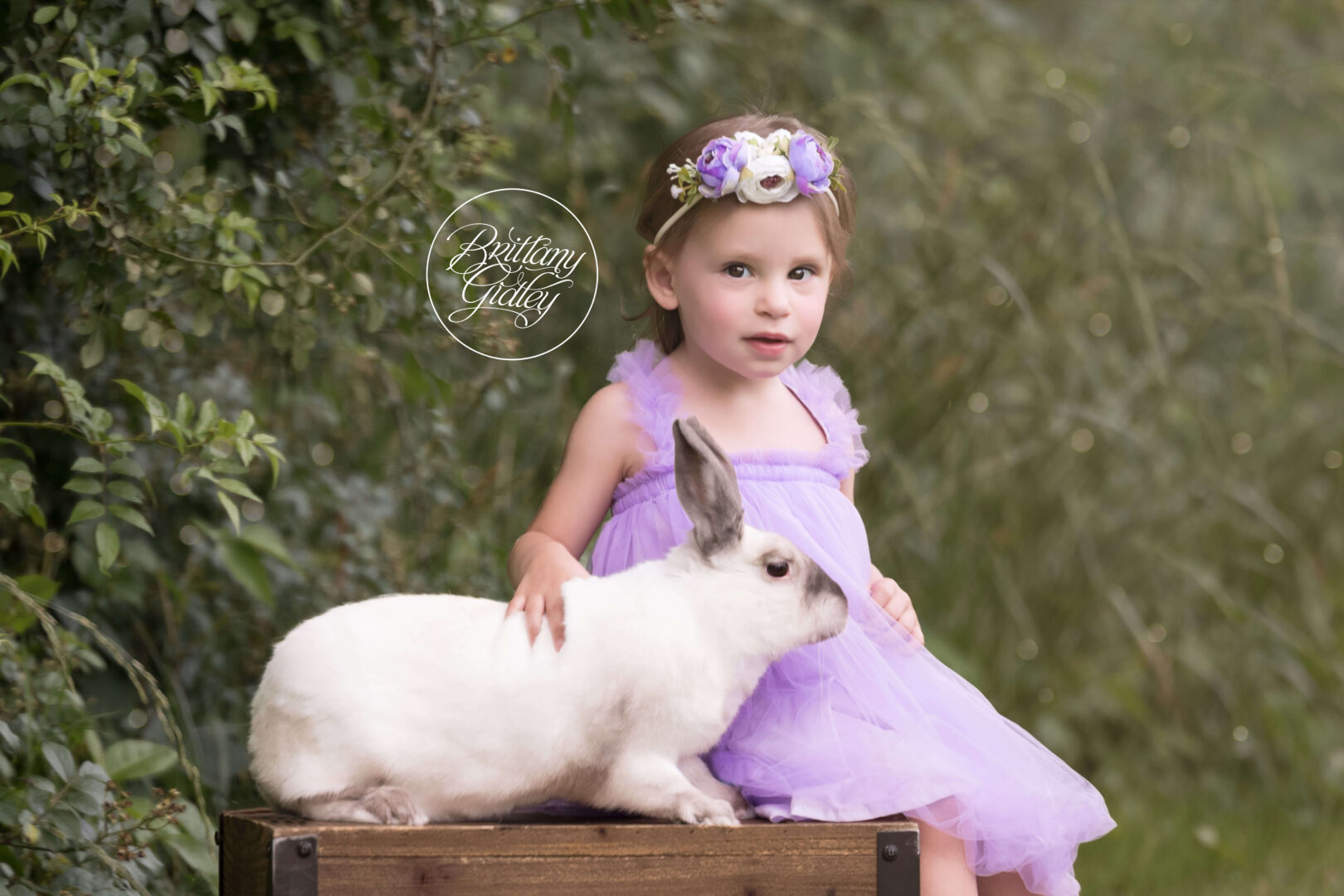 Rabbit and Baby Photography