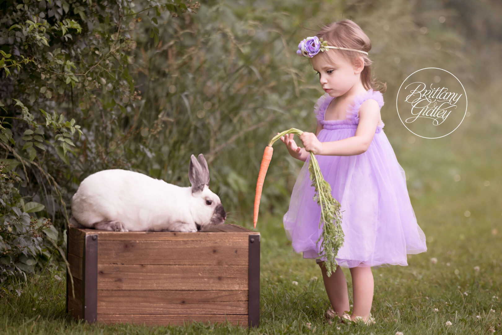 Toddler and Bunny Photo Shoot | Cleveland's Best Child Photography
