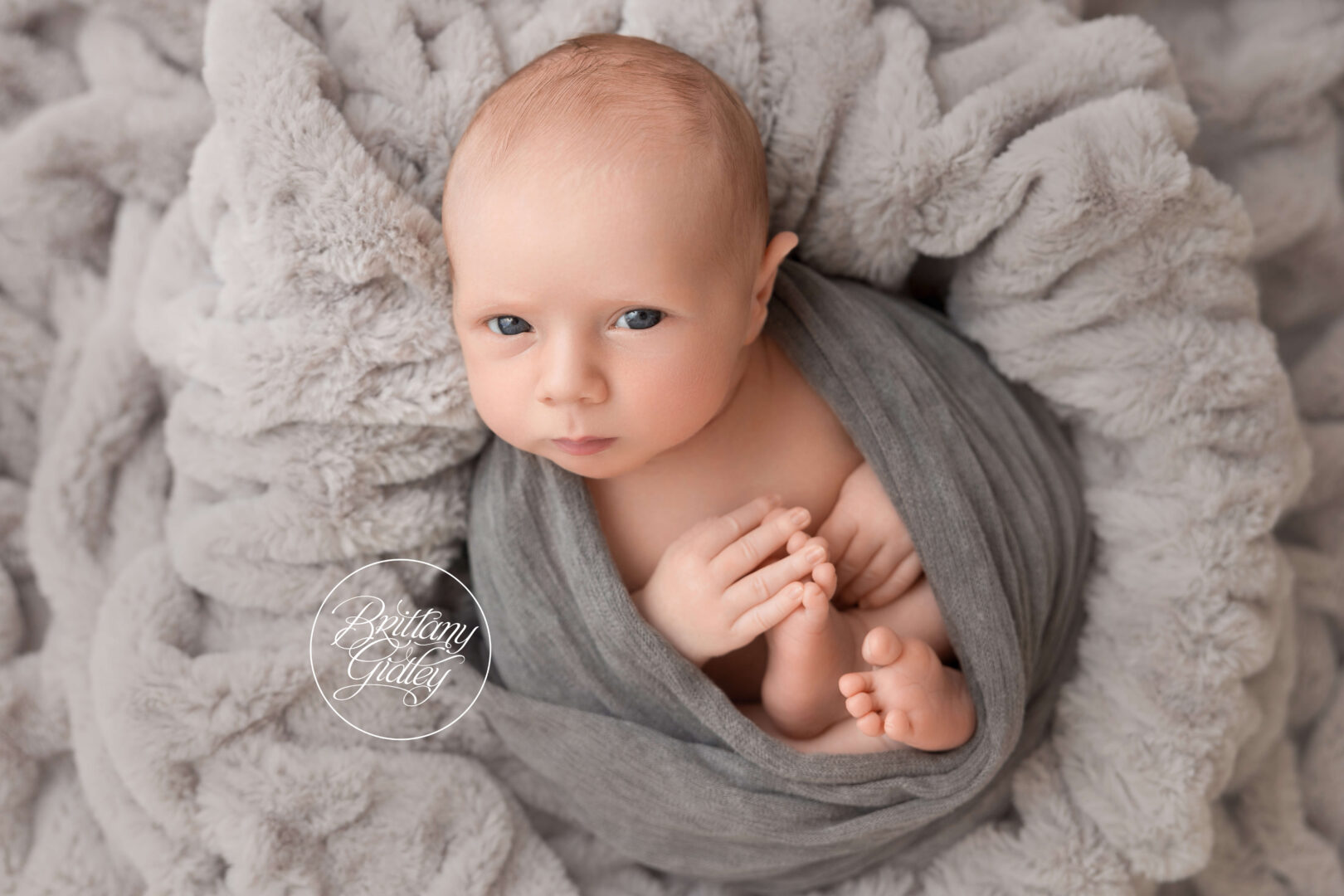 Baby Photography in Cleveland Ohio