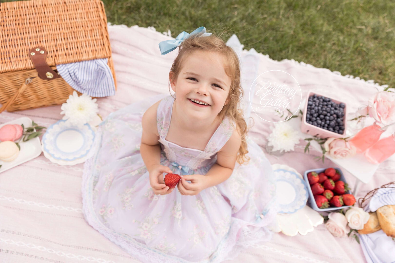 Berry Sweet Picnic | Adeline's Very Berry Dream