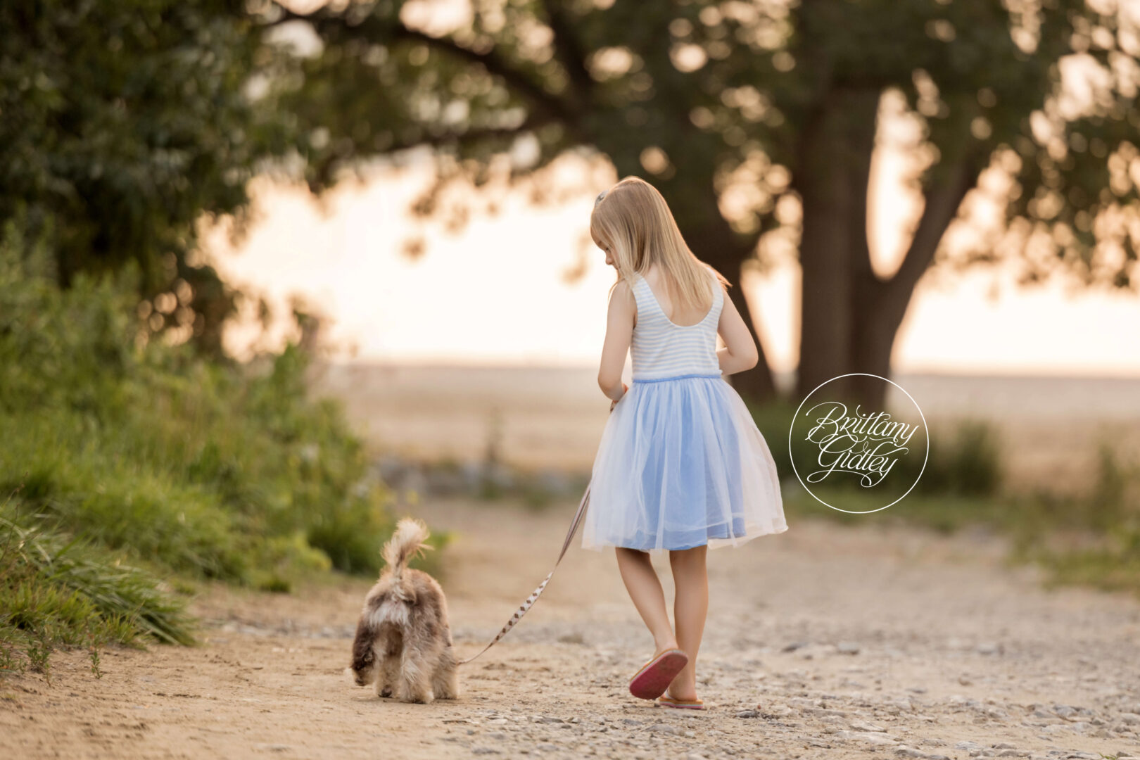 Cleveland Family and Dog Photographer | Child Photography Cleveland