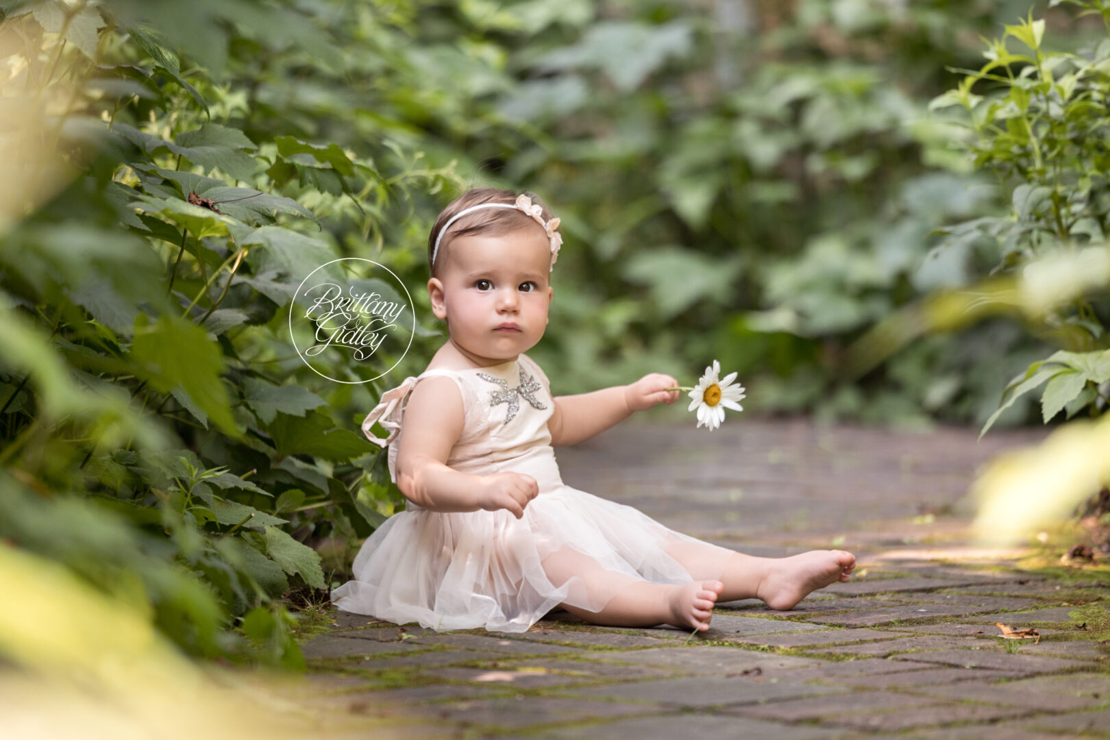Garden Baby Photography