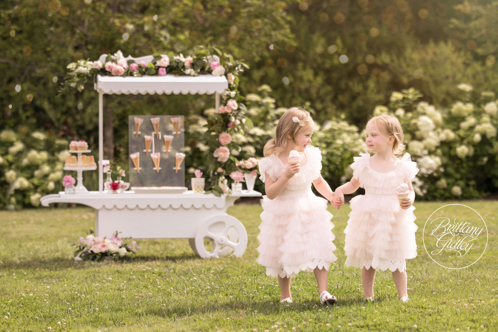 Ice Cream Dream Session
