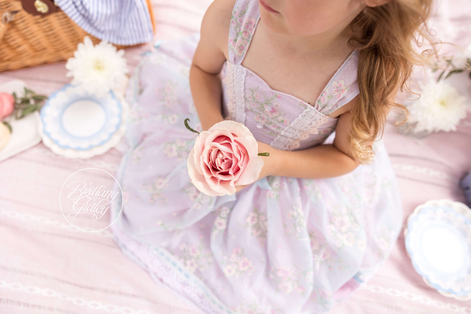 Roses Picnic Photo Shoot