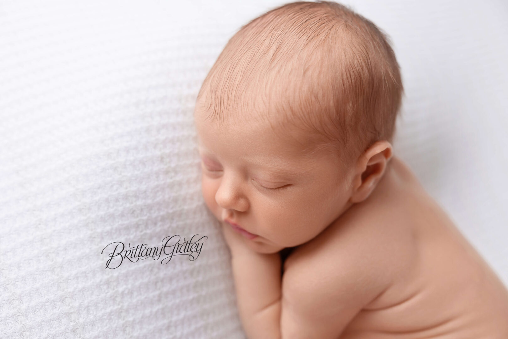 Baby Newborn Photographer