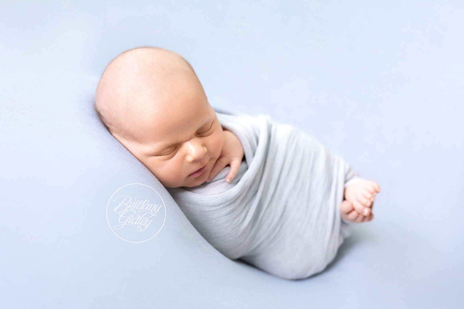 Michigan Newborn Photographer
