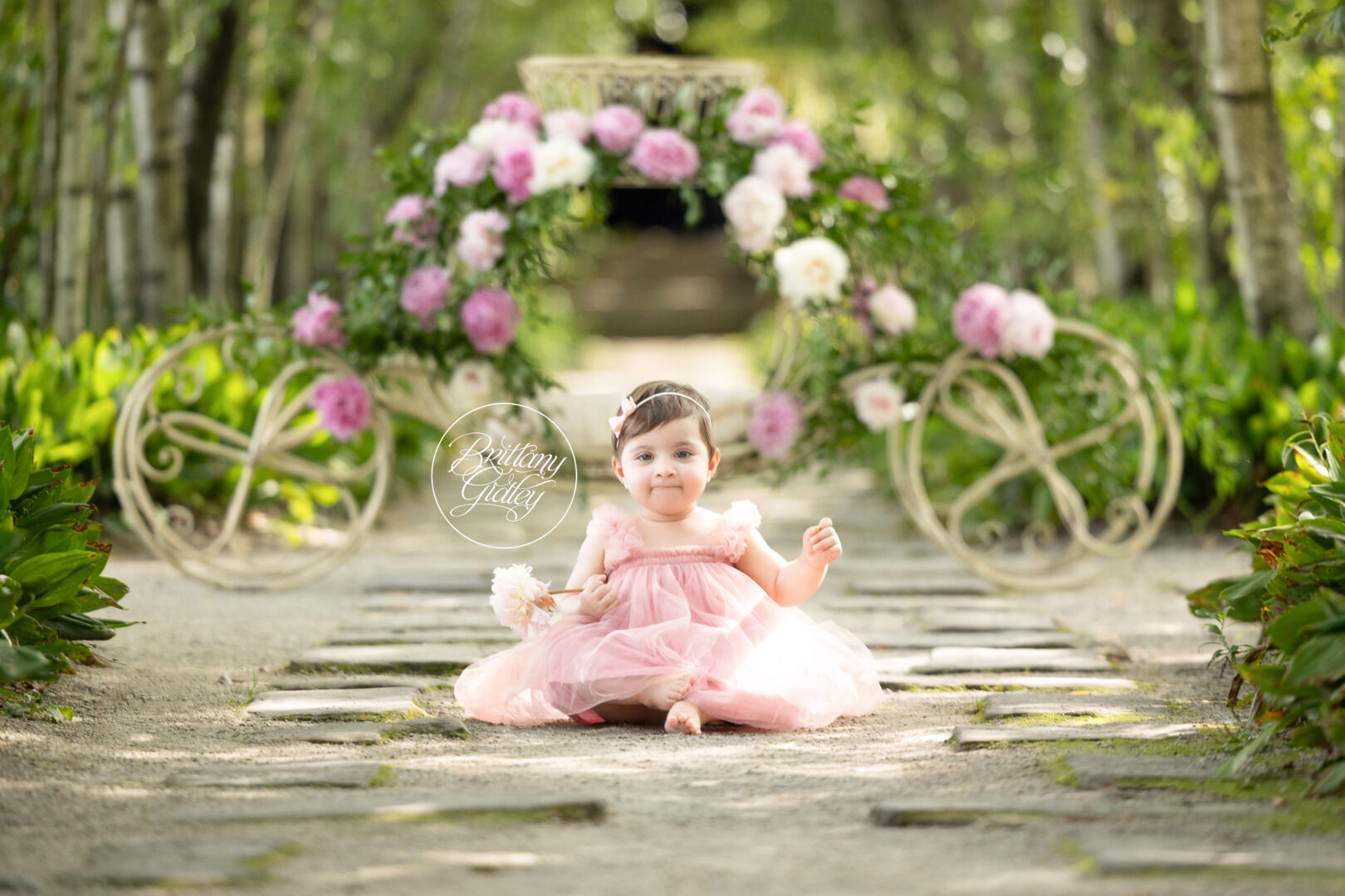 Princess Photo Shoot Baby
