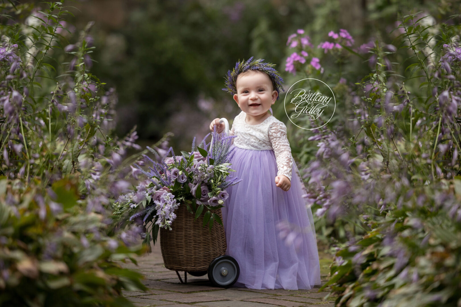 Floral Photo Shoot | Lavender Love Dream Session
