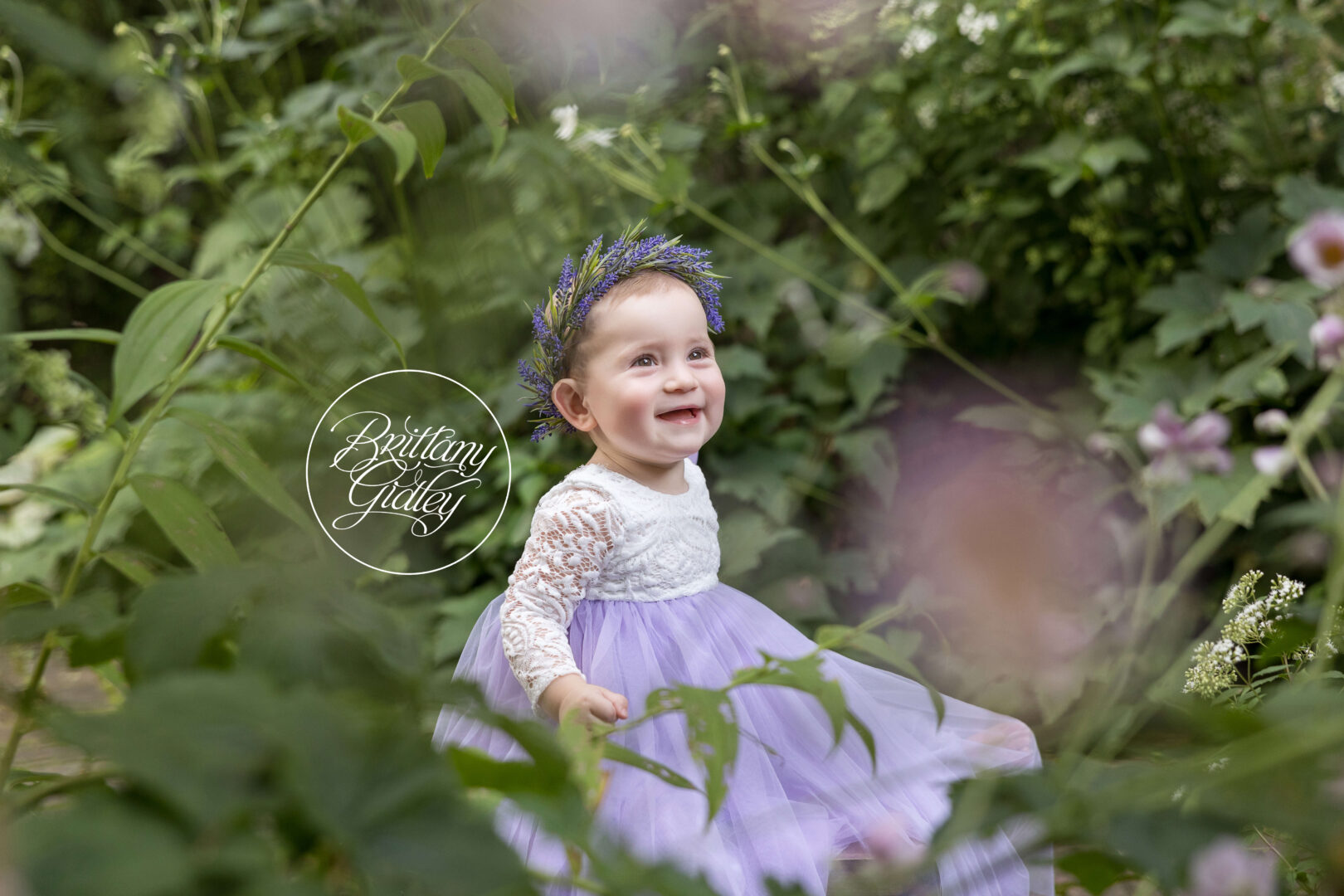 Lavender Love Dream Photo Shoot Garden
