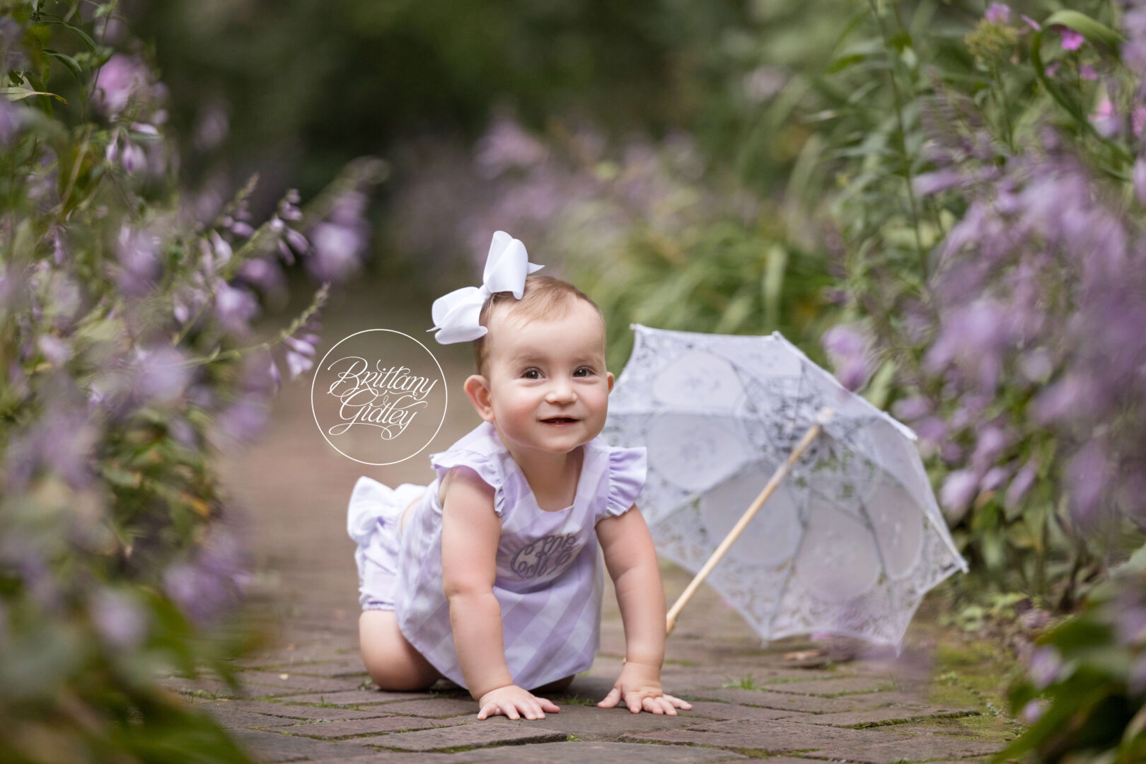 Lavender Love Dream Session