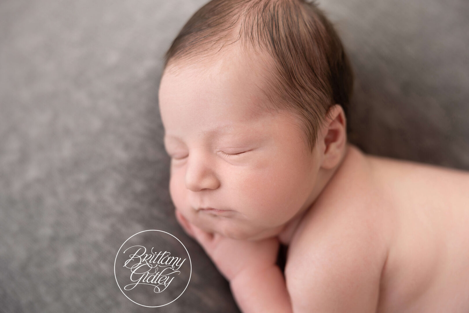 Newborn Baby Photo Shoot Pennsylvania