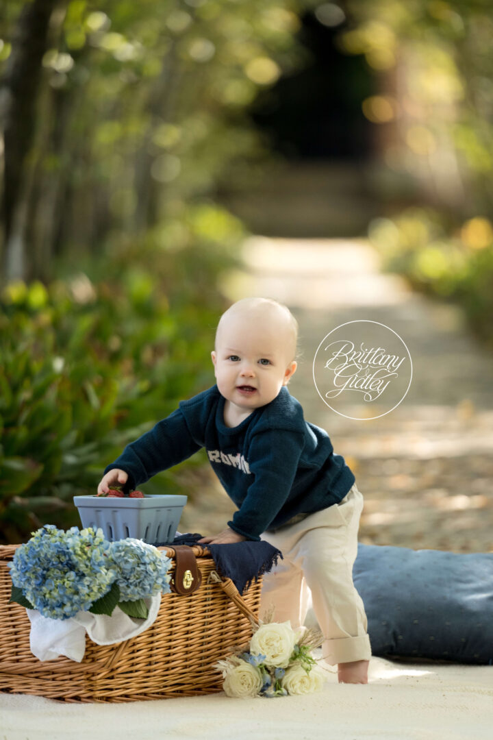 Picnic in the Park Photo Shoot
