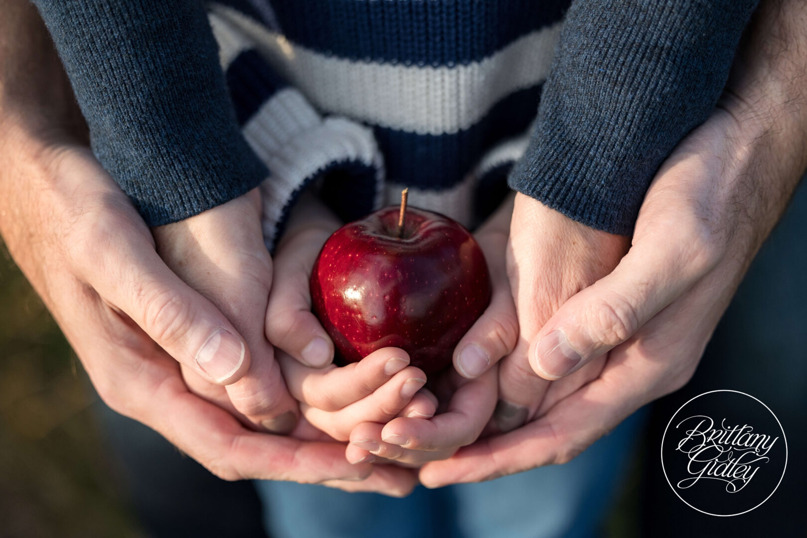 Apple Orchard Photo Shoot