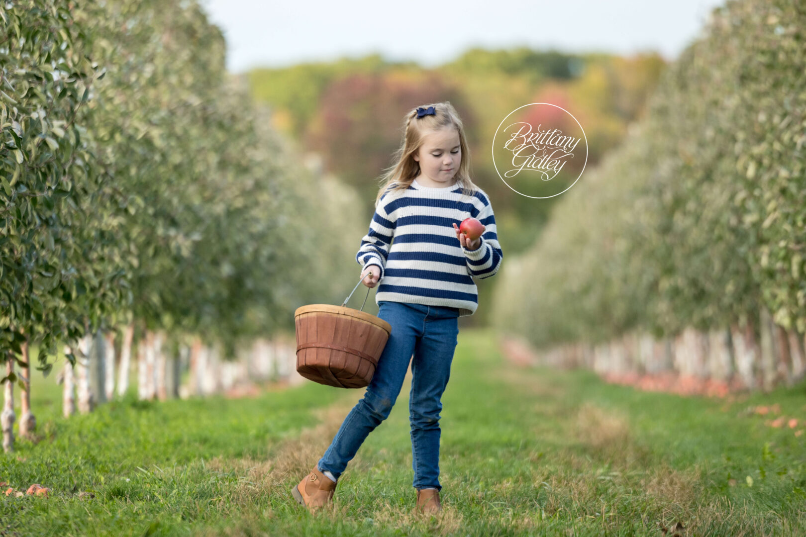 Apple Orchard Photography Cleveland Ohio