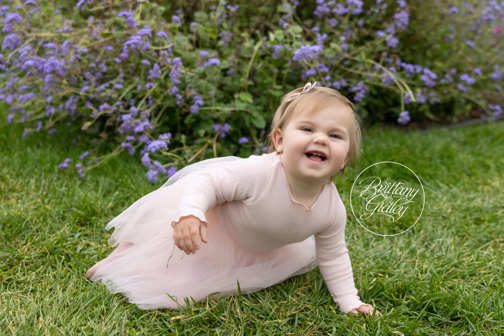 Baby Photographer Cleveland Ohio
