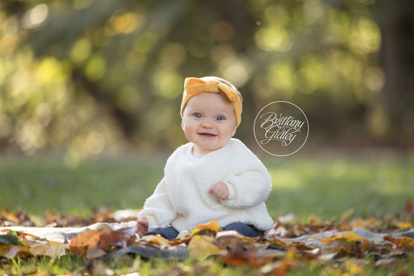 Brecksville Photographer