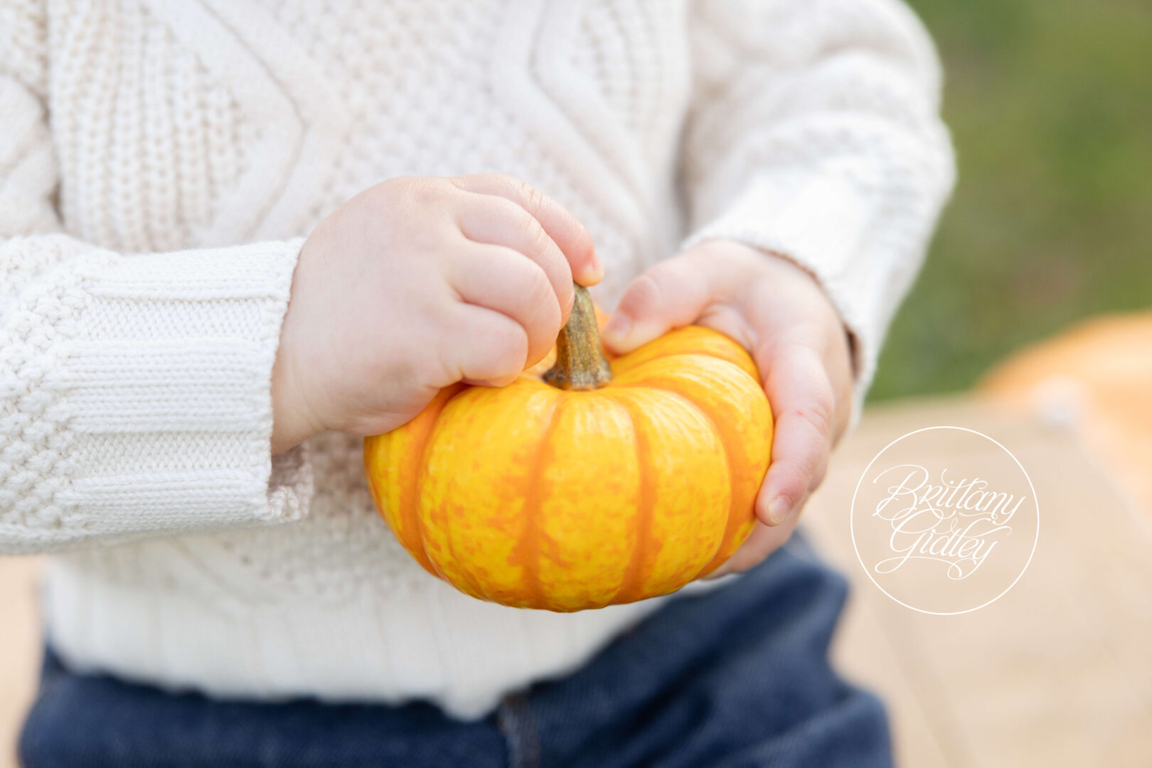 Pumpkin Photo Shoot