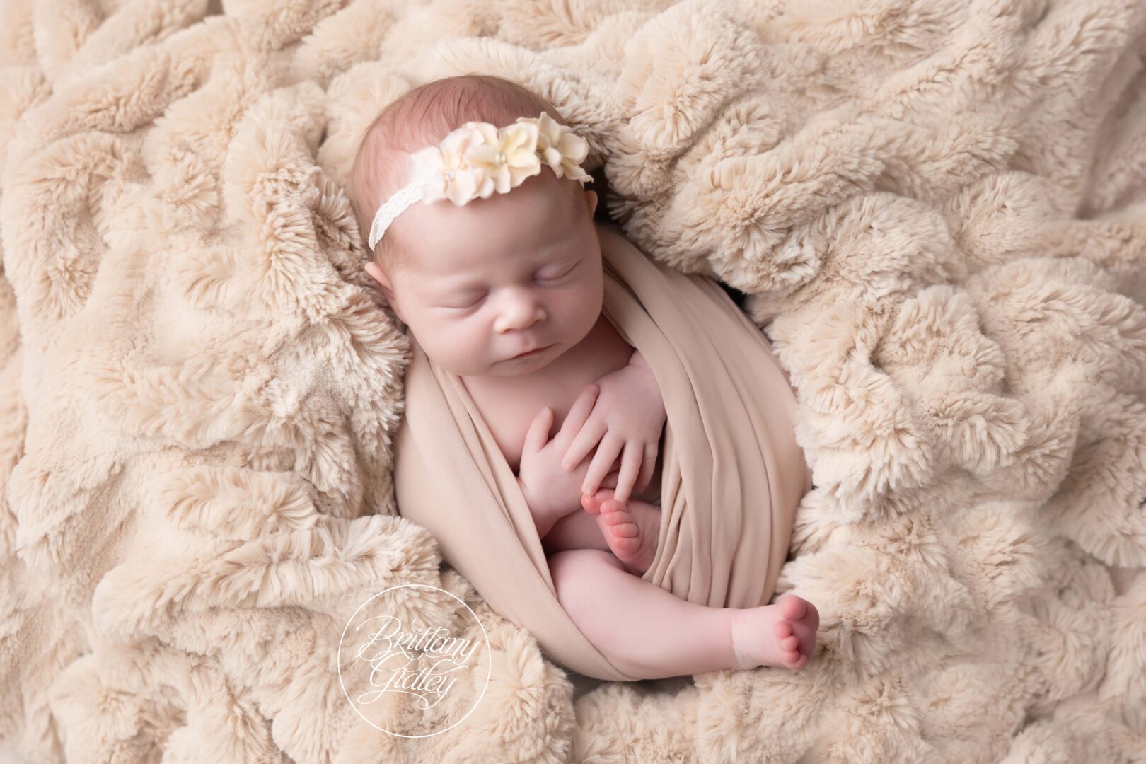 Baby Girl Photo Shoot Newborn Cleveland Ohio
