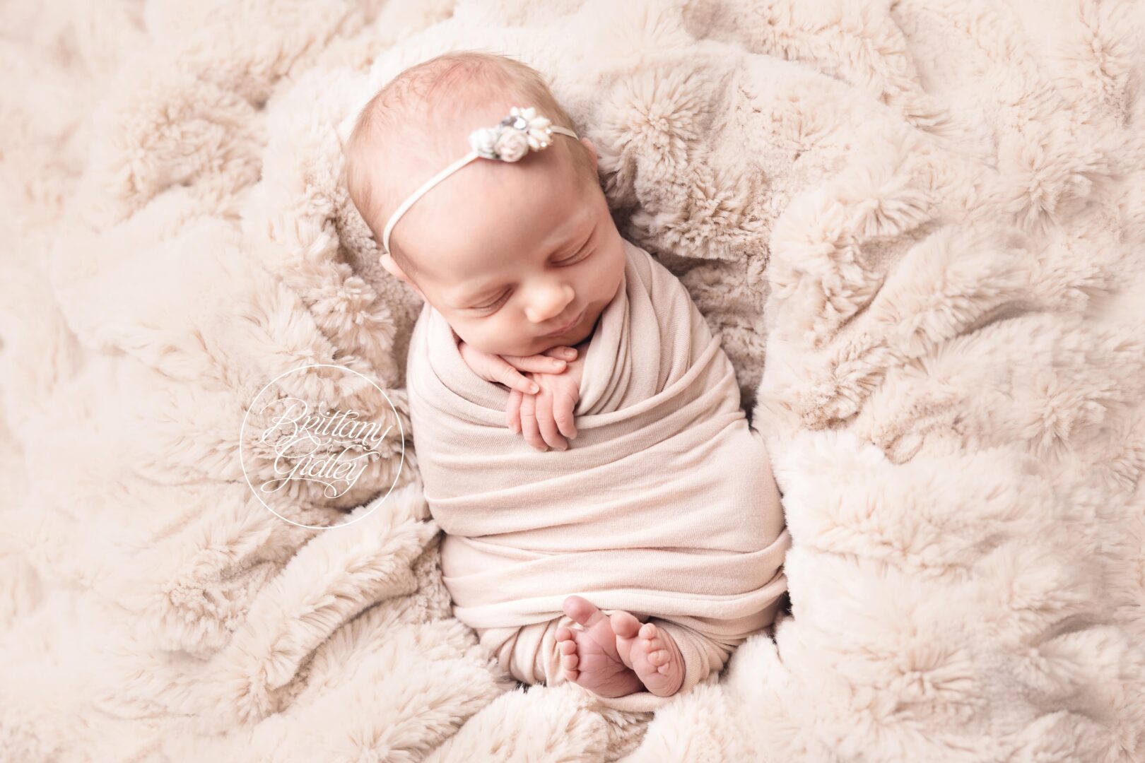 Baby Girl Photo Shoot | Avon Newborn Photographer