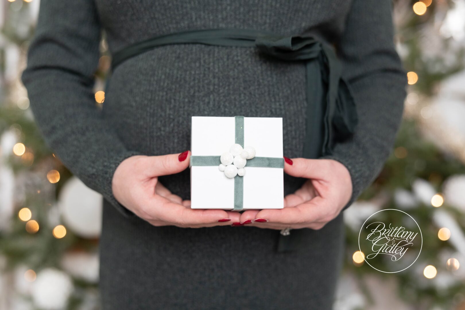 Christmas Maternity Studio Photo Shoot
