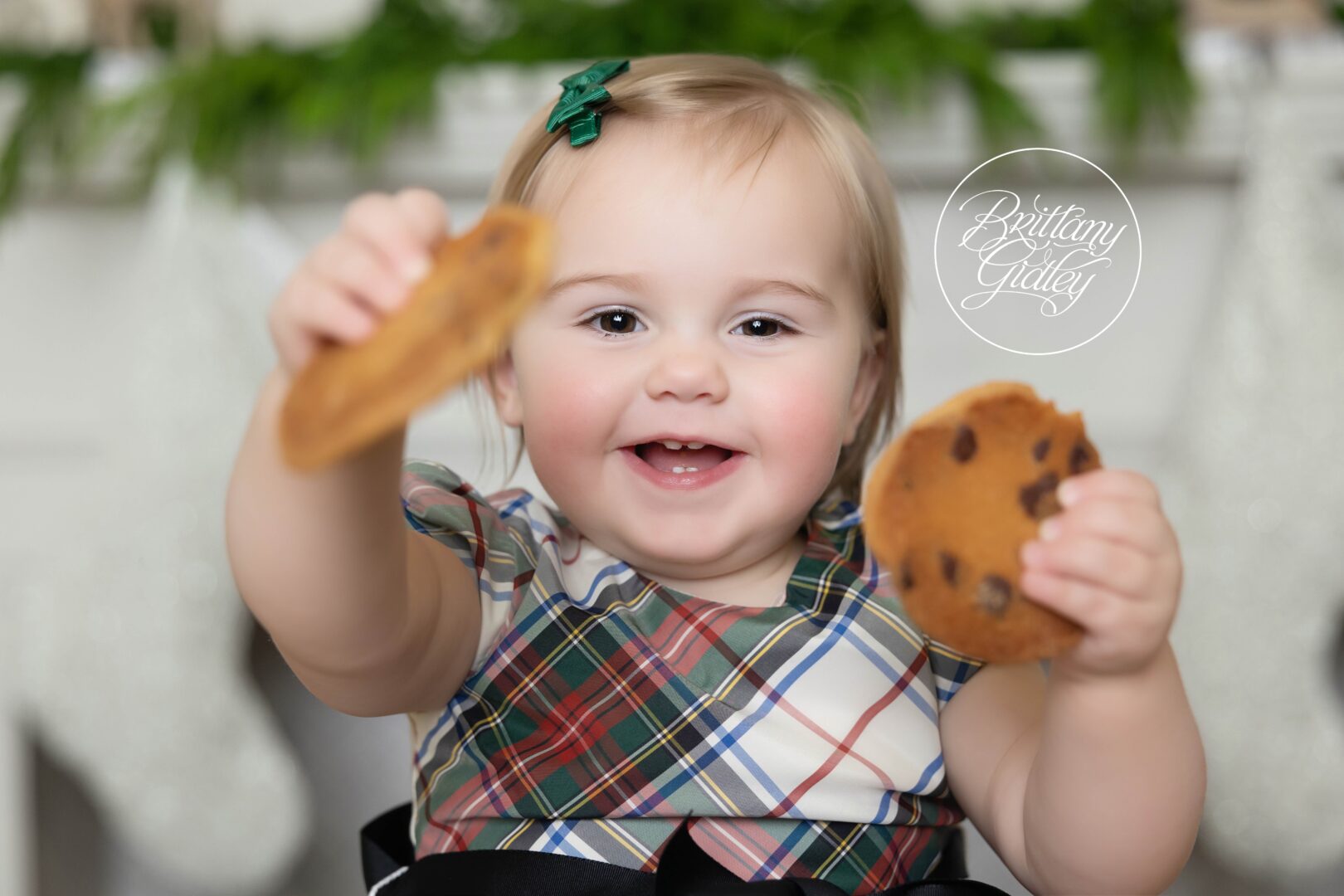 Christmas Card Photography