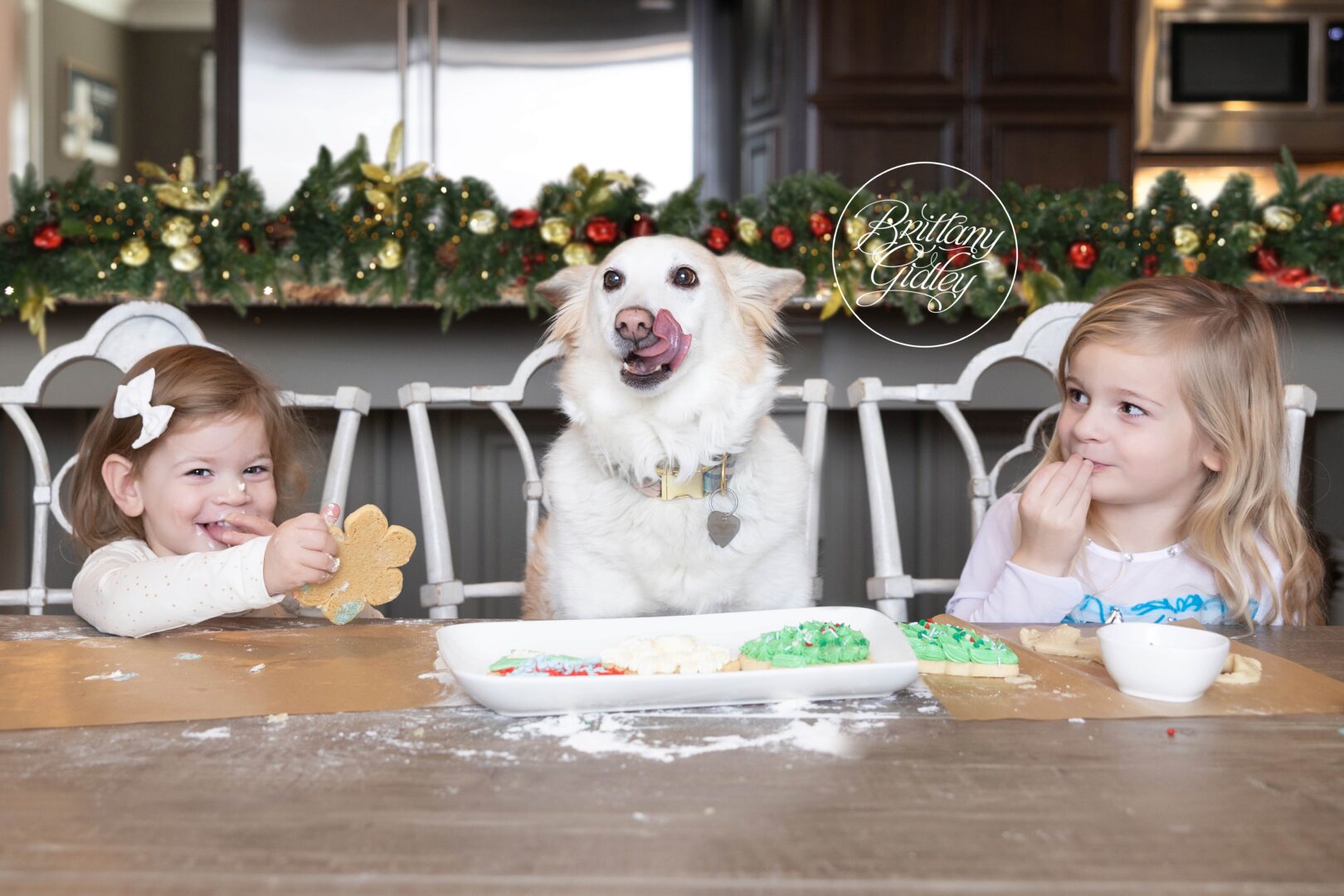 Christmas Cookie Photo Shoot
