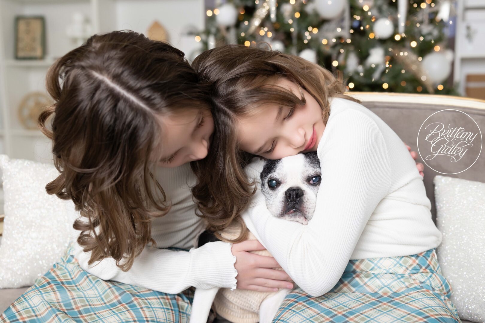 Dog With Family