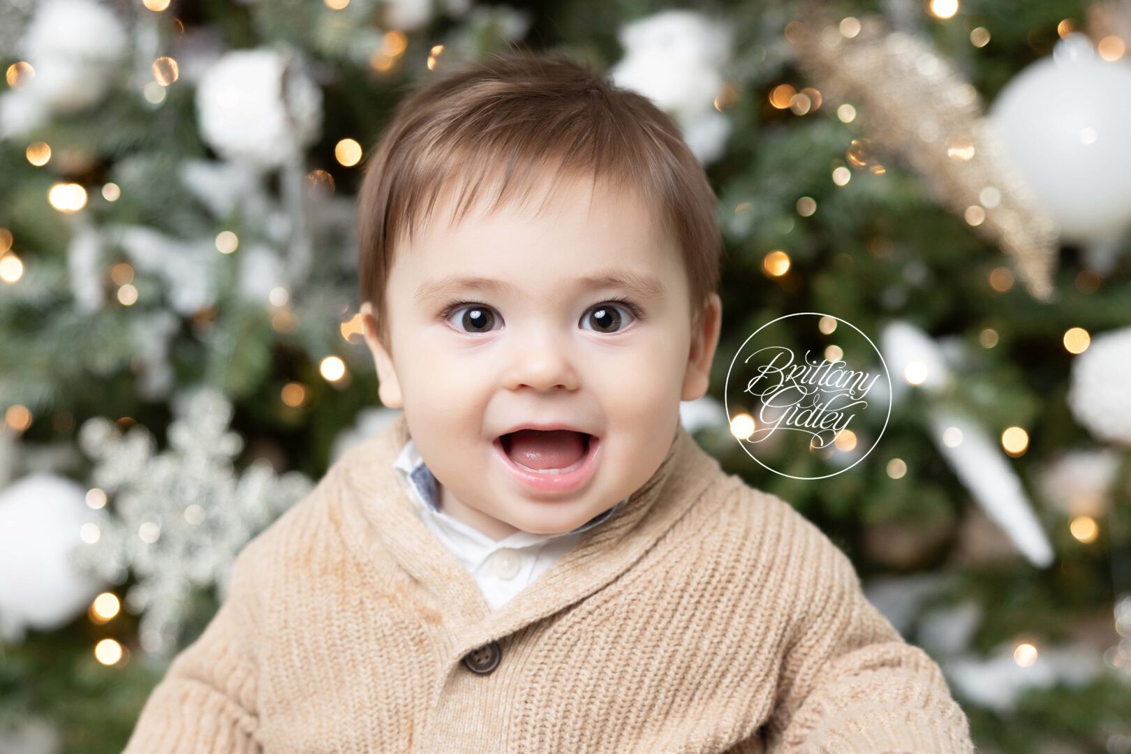 Holiday Photo Shoot Ohio