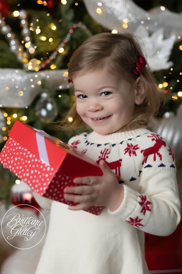 Holiday Photo Shoot at Home Baltimore