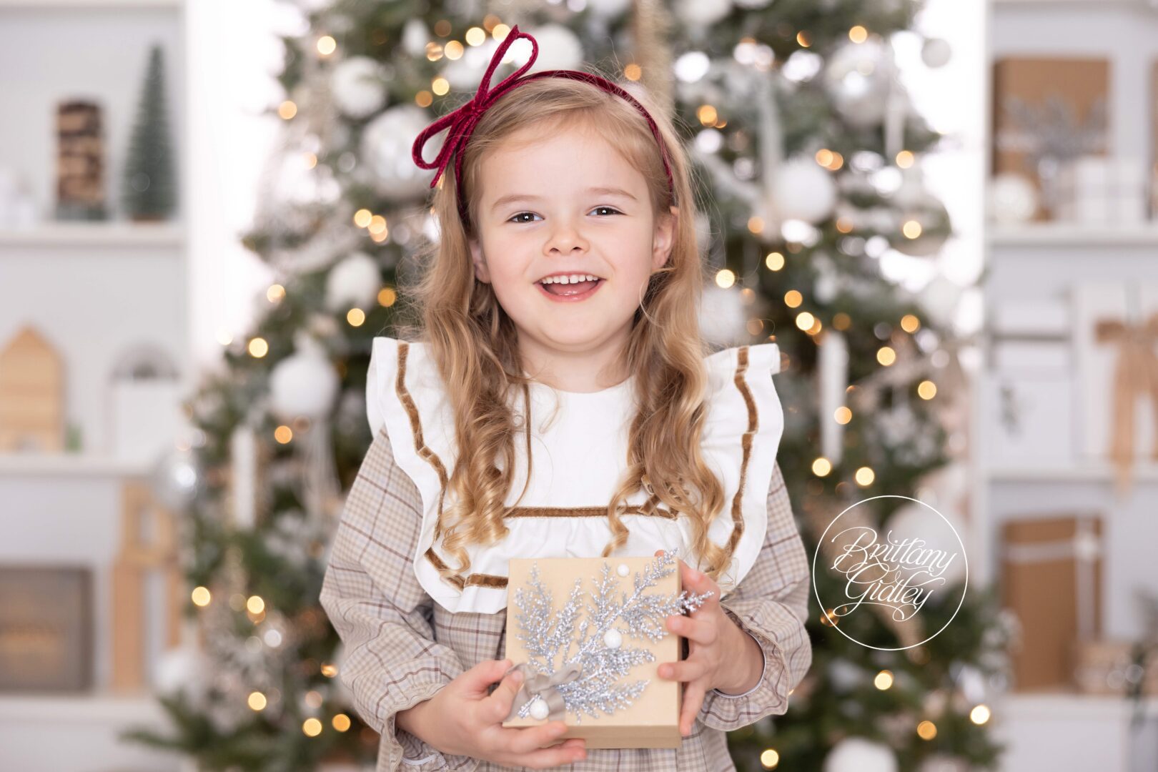 Holiday Photography Cleveland Ohio
