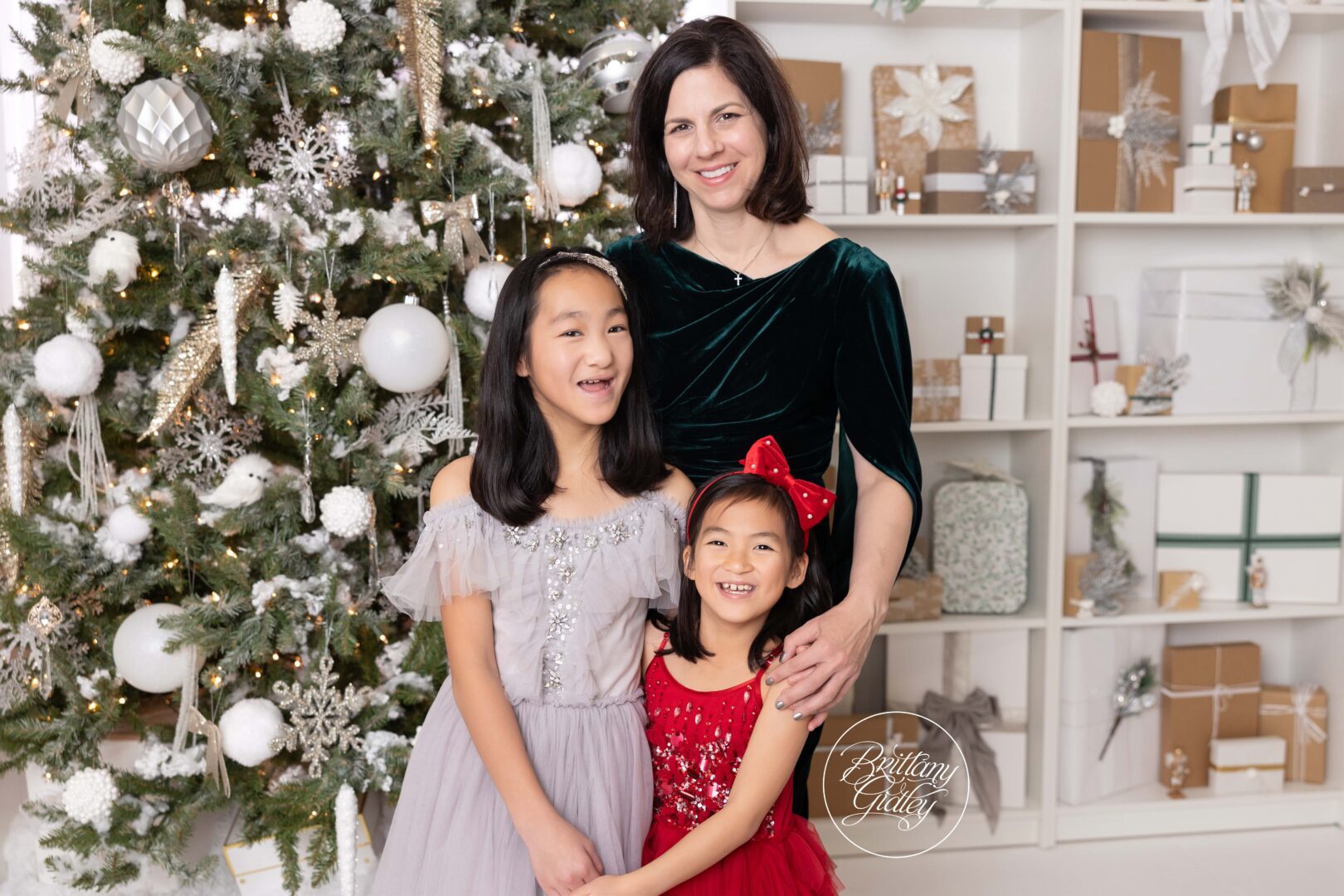 Kid and Family Photographer Christmas Cleveland Ohio