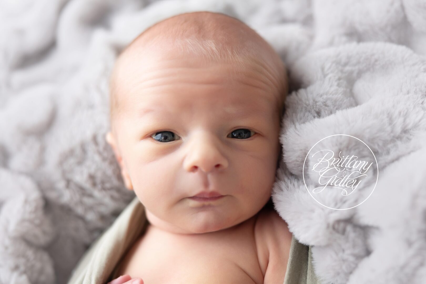 Newborn Baby Boy