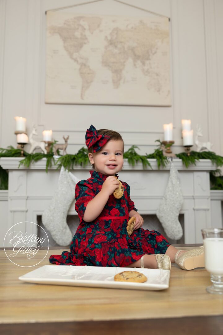 Photo Shoot Christmas Cookies Ohio